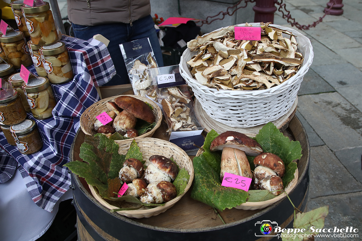 VBS_6556 - Fiera dei Santi - 12.ma Fiera Nazionale del Tartufo.jpg